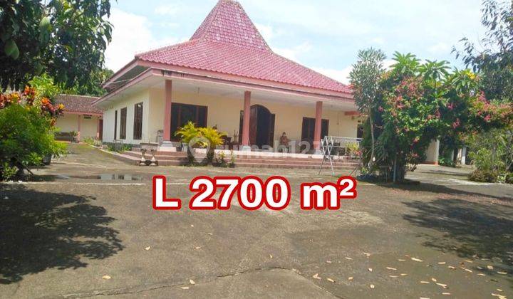 Rumah Luas Kaliurang 2700 m² Area Sejuk 1