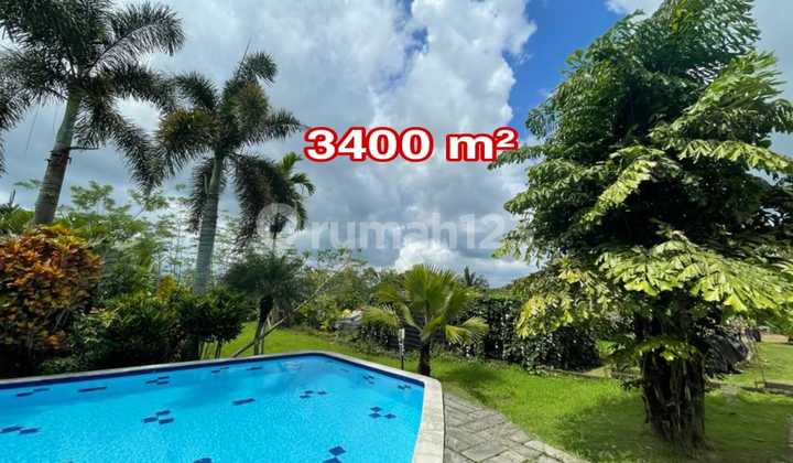 Villa Klasik Joglo Palagan Dengan Tanah Luas 3400 M²