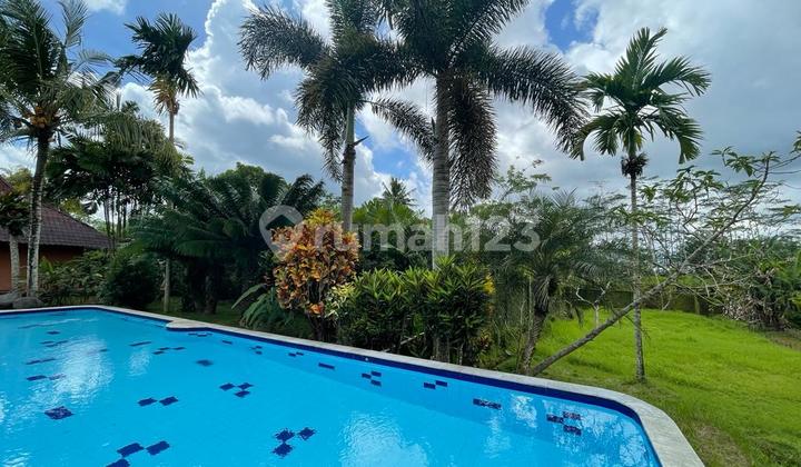 Villa Klasik Joglo Palagan Dengan Tanah Luas 3400 M² 2