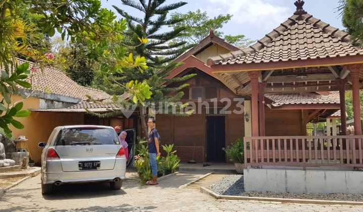 Rumah Klasik Kayu Pedesaan 1000 Meter 13