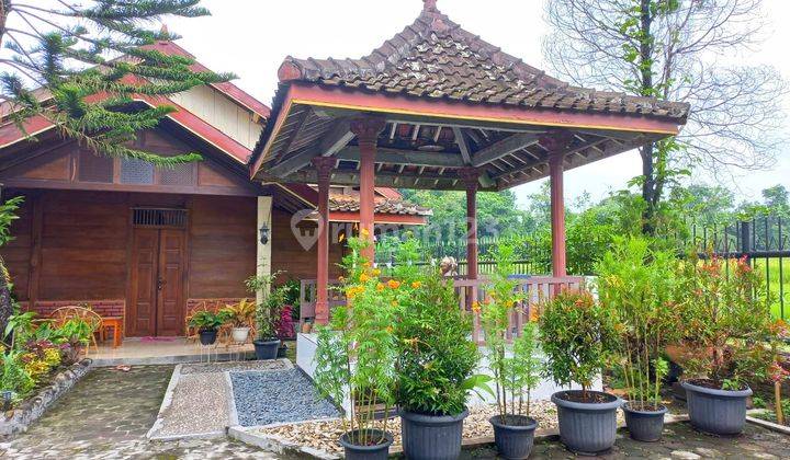 Rumah Klasik Kayu Pedesaan 1000 Meter 14