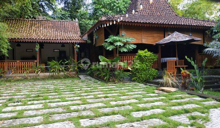 Rumah Joglo Klasik Kolam Renang Samping Sungai 2