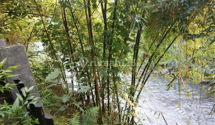 Rumah Joglo Klasik Kolam Renang Samping Sungai 18