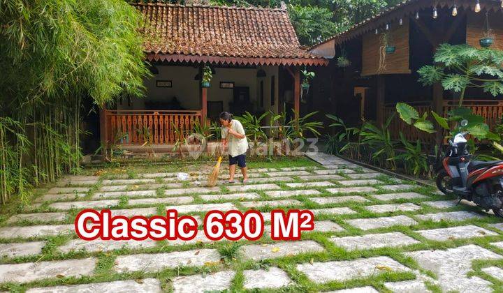 Rumah Joglo Klasik Kolam Renang Samping Sungai 1