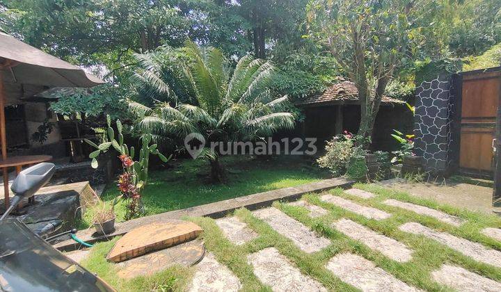 Rumah Etnik Joglo Jawa Sampingya Sungai  14