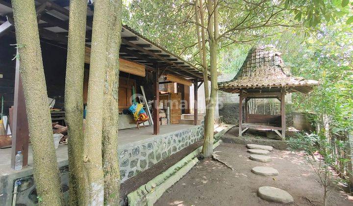 Rumah Etnik Joglo Jawa Sampingya Sungai  15