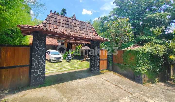 Rumah Etnik Joglo Jawa Sampingya Sungai  16