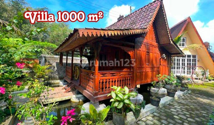 Villa Luas Lingkungan Asri Cocok Buat Menyepi 1