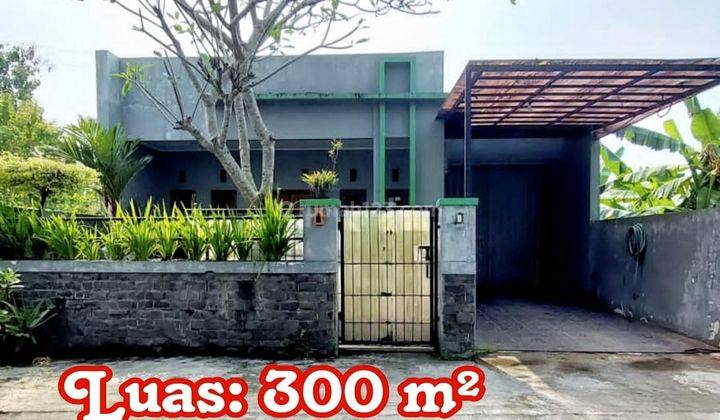 Rumah Luas 300 Dekat Kampus Isi Parangtritis 1