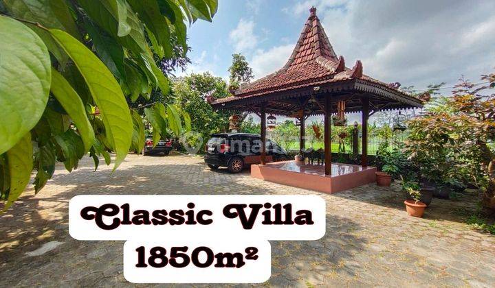 Villa Dijual View Persawahan Luas 1850 Meter 2