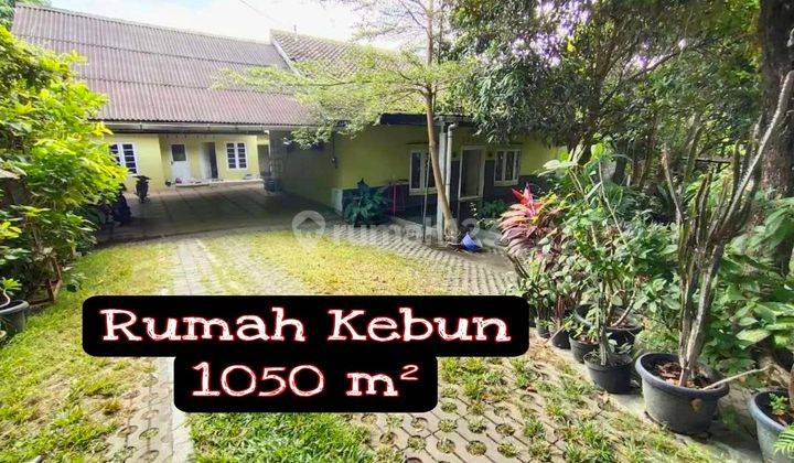 Rumah Dengan Luas 1000 Dalam Ring Road Selatan 1