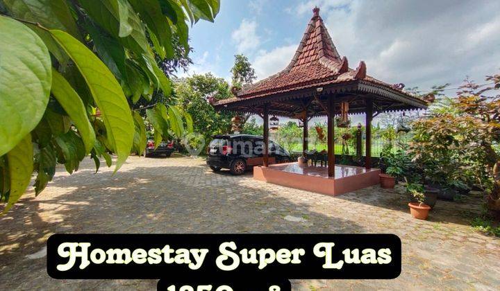 Villa Dijual View Persawahan Luas 1850 Meter 1