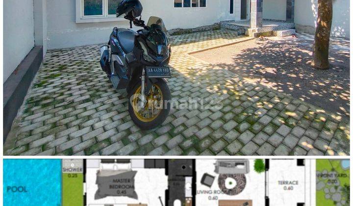 Rumah Kolam Renang Palagan Luas 250 Meter 1