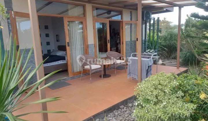 Rumah Villa Persawahan Luas 800 Bantul Parang Tritis 2