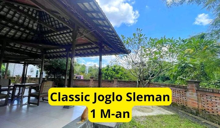 Rumah Klasik Pedesaan Sleman Luas 350 M²