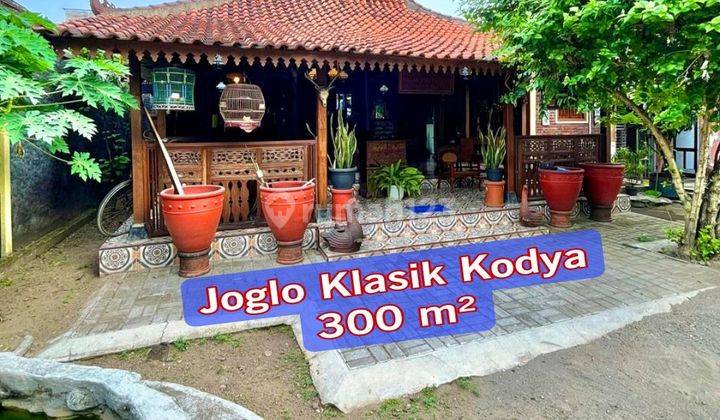 Rumah Joglo Dalam Kota Tepi Jalan Raya Luas 300 M²  1