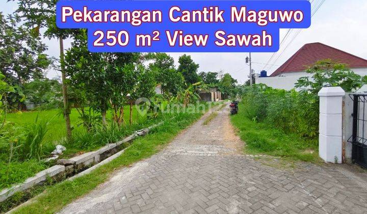 Tanah Dijual Maguwo Luas 250 View Sawah Cantik 1