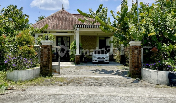 Classic House with Spacious Land on Kaliurang Road Near UII Classic House with Spacious Land on Kaliurang Road Near UII