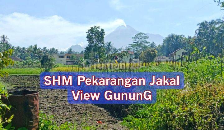 Tanah Kaliurang View Gunung Merapi Area Sejuk 1