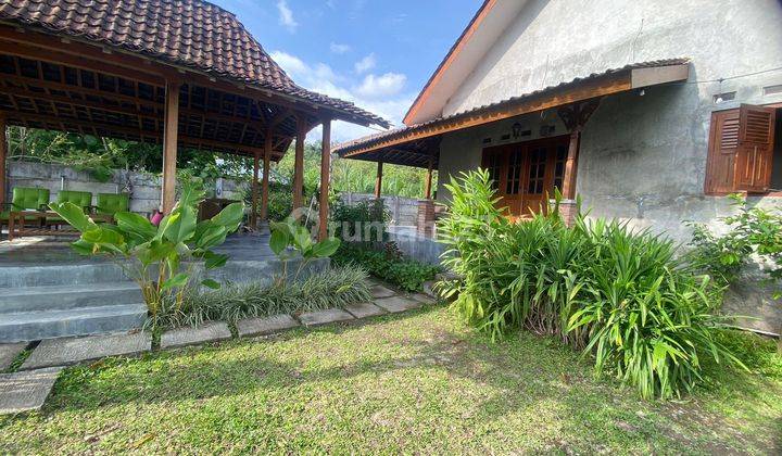 Villa View Belakang Sawah Pegunungan Luas 671 M²  2