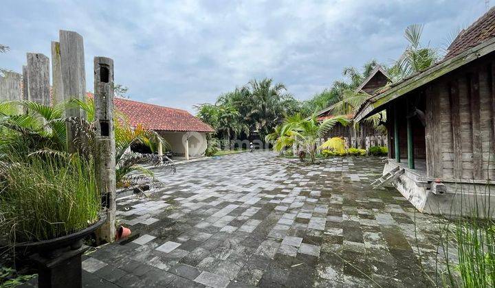 Rumah Klasik Tanah Luas Full Perabot Antik  2