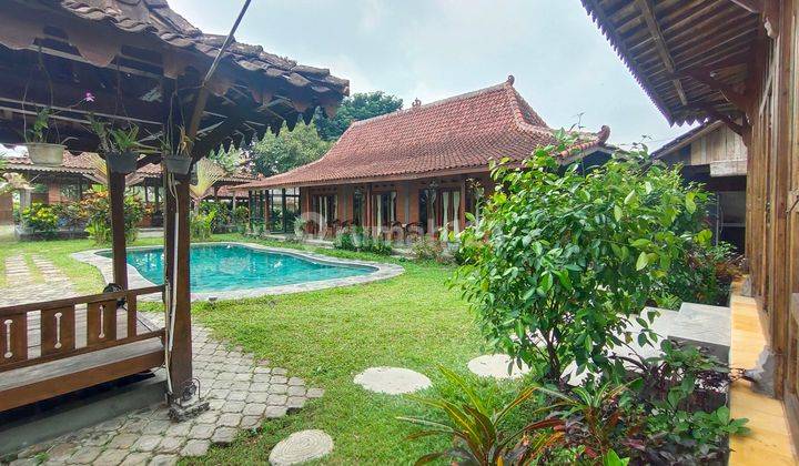 Rumah Joglo Klasik Cocok Buat Kantor Homestay 2