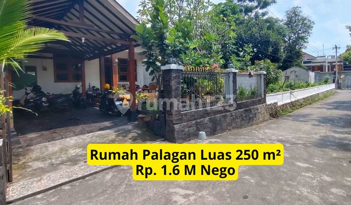 Palagan House Large Land 250 M Near Patra Residence 1