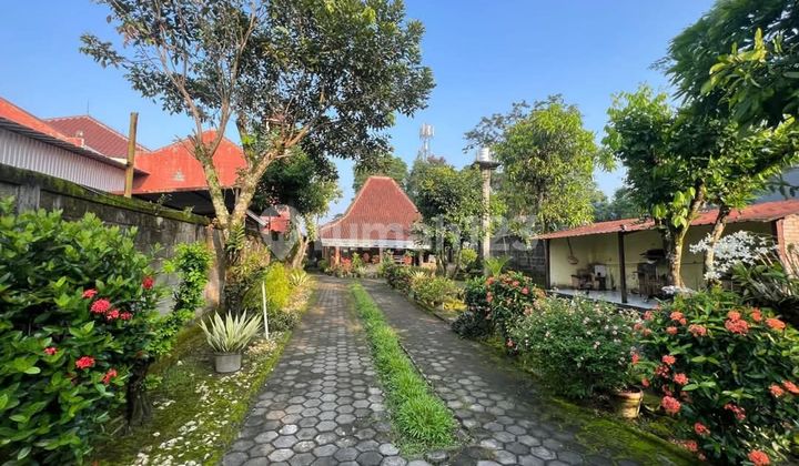 Rumah Etnik Jalan Kaliurang Dengan Tanah Luas 2