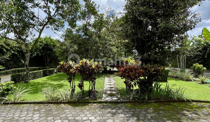 Villa on Kaliurang Road, Area 2900, Cool Area Villa on Kaliurang Road, Area 2900, Cool Area