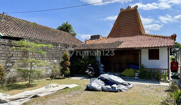 Rumah Klasik Jawa Limasan Sleman Tanah Luas 2