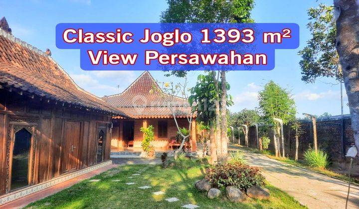 Rumah Klasik Joglo View Persawahan Hadap Timur 1