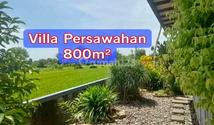 Rumah Villa Persawahan Luas 800 Bantul Parang Tritis 1