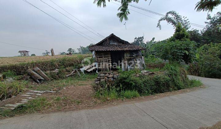 TANAH SUBUR HARGA RAMAH DI GLISEM PACET KABUPATEN MOJOKERTO. 2