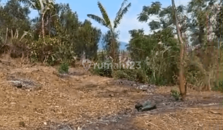 Tanah Luas View Bagus Asri Dekat Pondok Pesantren di Dau Malang 1