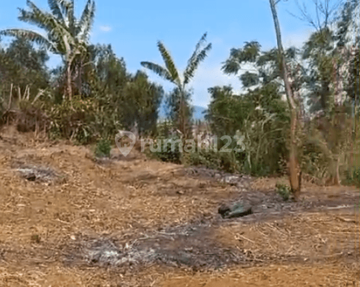 Tanah Luas View Bagus Asri Dekat Pondok Pesantren di Dau Malang 2