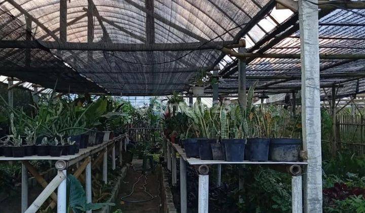 Rumah Baru Tanah Luas View Gunung Asri Yang Subur Di Bumiaji Batu 1