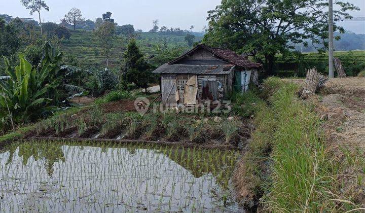 TANAH SUBUR HARGA RAMAH DI GLISEM PACET KABUPATEN MOJOKERTO. 1