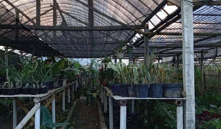 TANAH KEBUN SUBUR HARGA BAGUS DI BUMIAJI KOTA BATU. 1