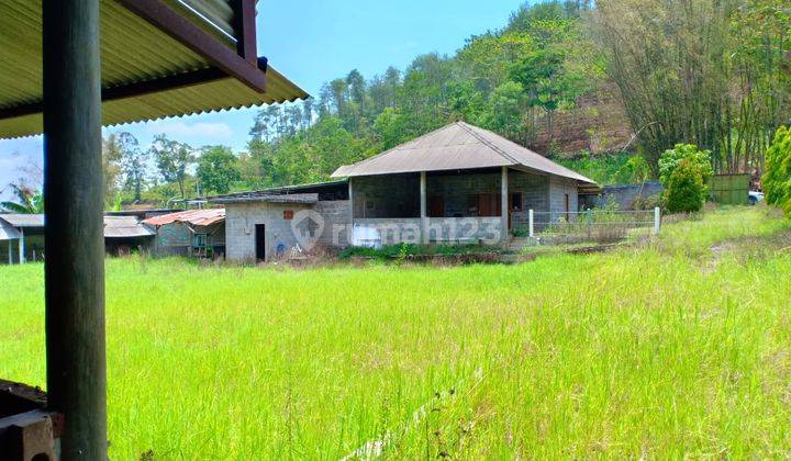 Tanah Luas Murah Bekas Kandang Lokasi View Arjuna di Kota Batu 1