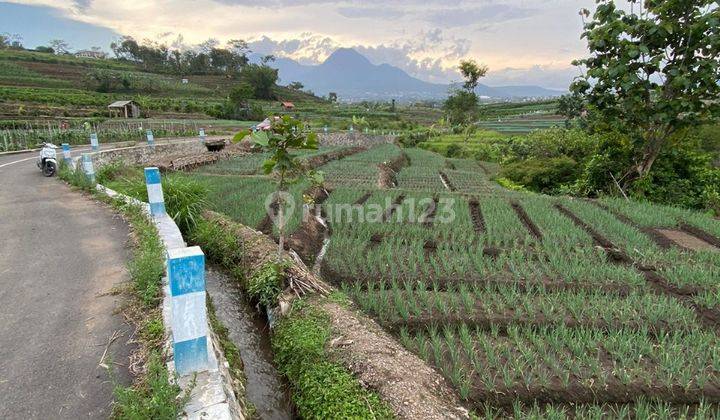 Tanah View Menawan Strategis Subur Murah Dekat Fasum Kota Batu 2