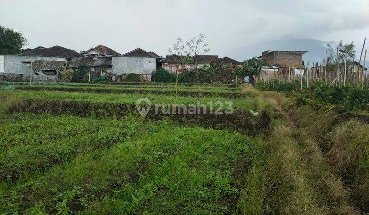 Tanah Luas Subur Mudah Dijangkau Mobil Murah Di Temas Batu 2