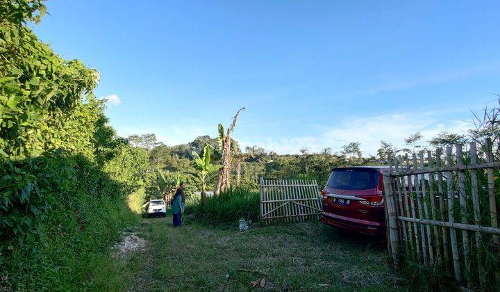 Tanah Dataran Tinggi Luas Asri Super Murah View Gunung Kota Batu 1