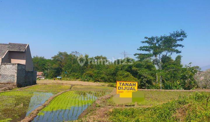 Tanah Luas Nego Lokasi Bagus Aman Dekat Rs Marsudi Singosari  1