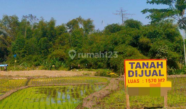 Tanah Luas Nego Lokasi Bagus Aman Dekat Rs Marsudi Singosari  2