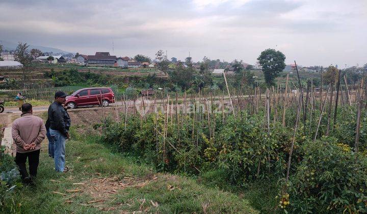 Tanah Subur Dan Strategis Di Sumberejo Batu 2