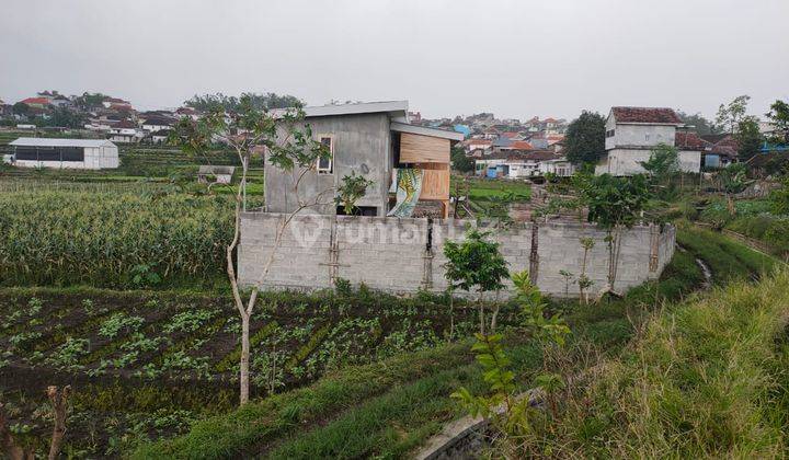 Tanah Sawah Luas Dan Subur di Junrejo Kota Batu 2