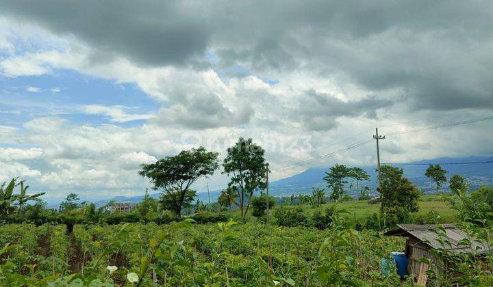 Tanah Murah View Bagus Cocok Untuk Perumahan di Karangploso 2