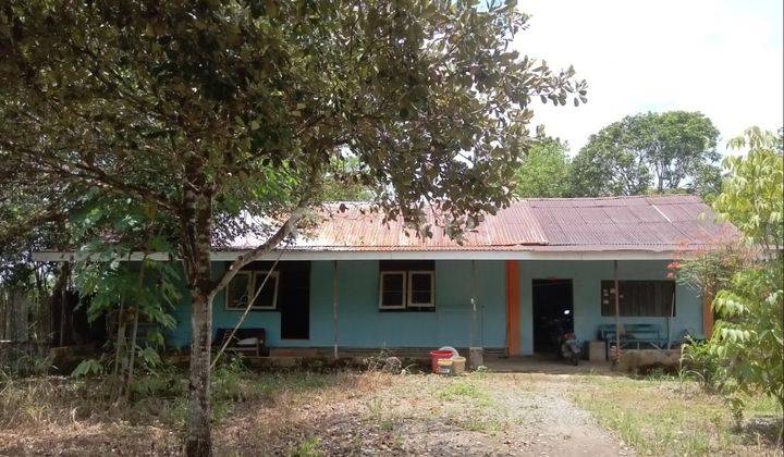 Rumah Plus Tanah 2 Hektar Super Strategis di Tambang Ulang  1