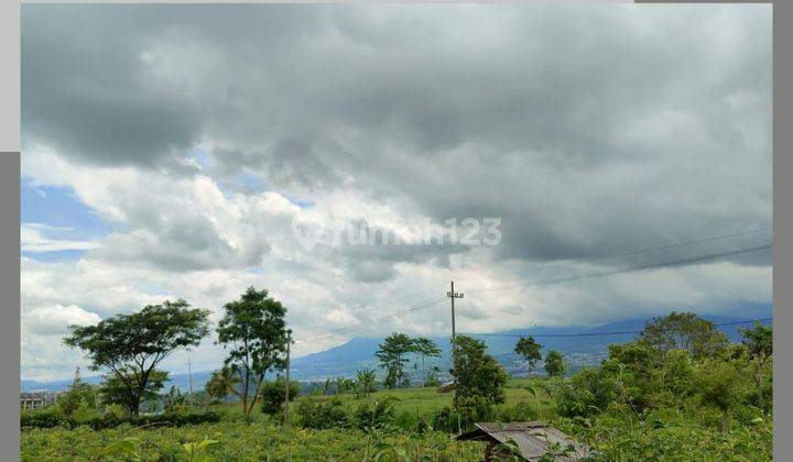 Tanah Murah View Bagus Cocok Untuk Perumahan di Karangploso 1