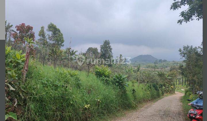 Tanah Murah Dan Subur di Sumbergondo Kota Batu 1